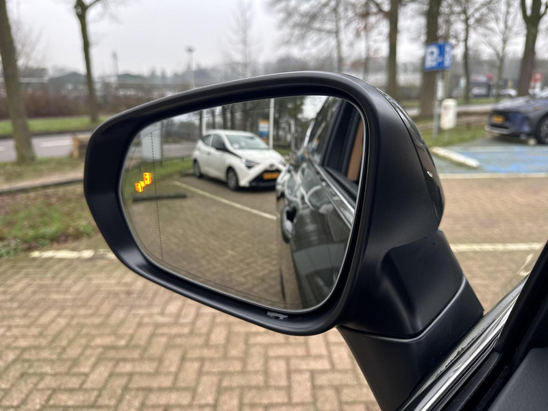 Foto van Lexus NX