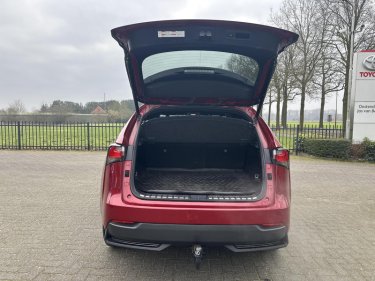 Foto van Lexus NX