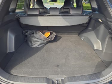 Foto van Toyota RAV4