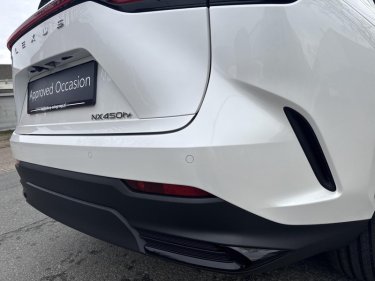 Foto van Lexus NX