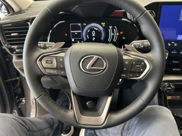 Foto van Lexus NX