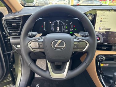 Foto van Lexus NX