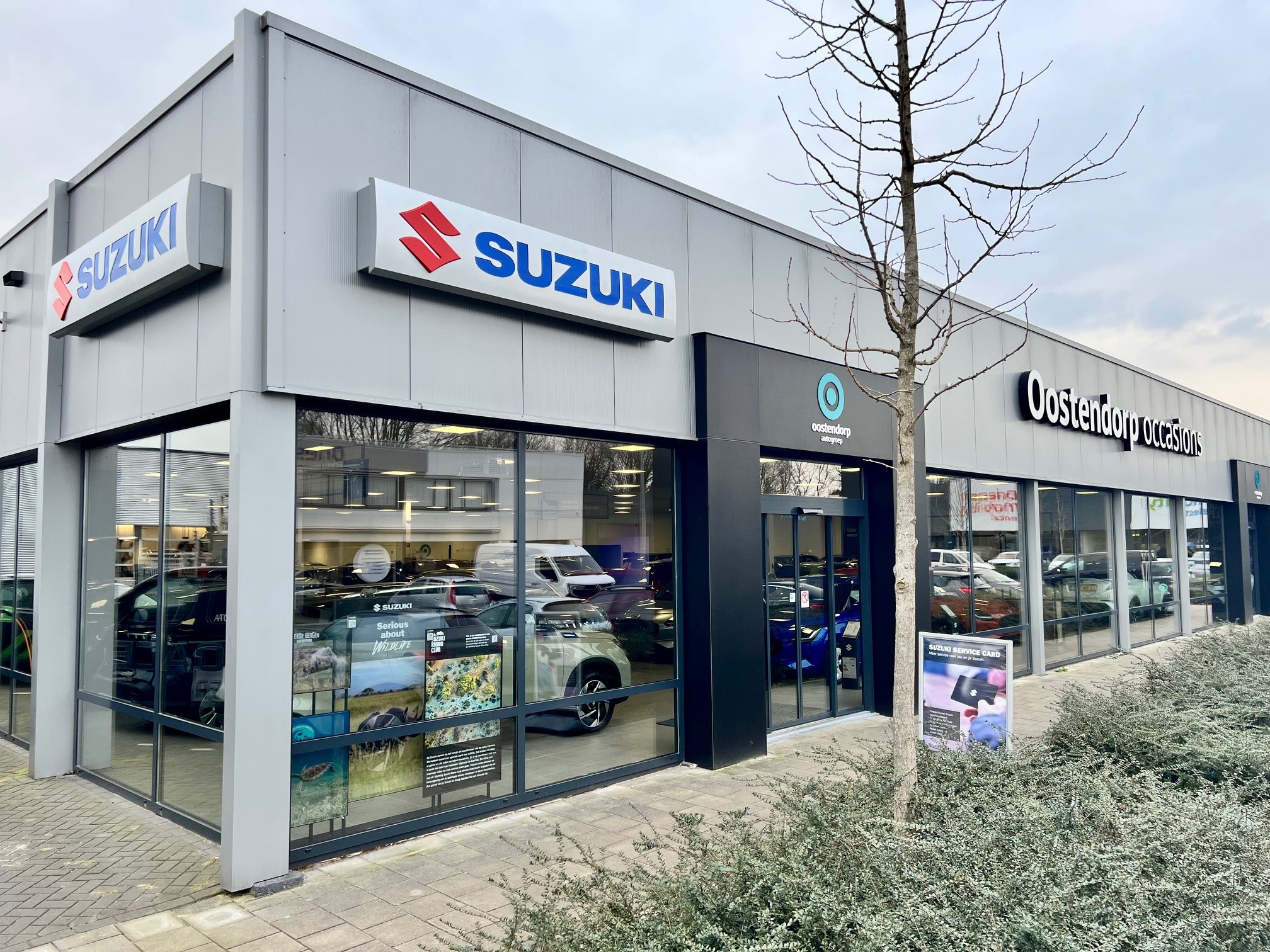 Suzuki Eindhoven