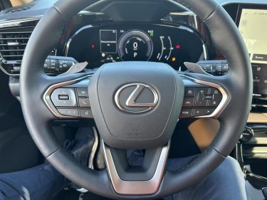 Foto van Lexus NX